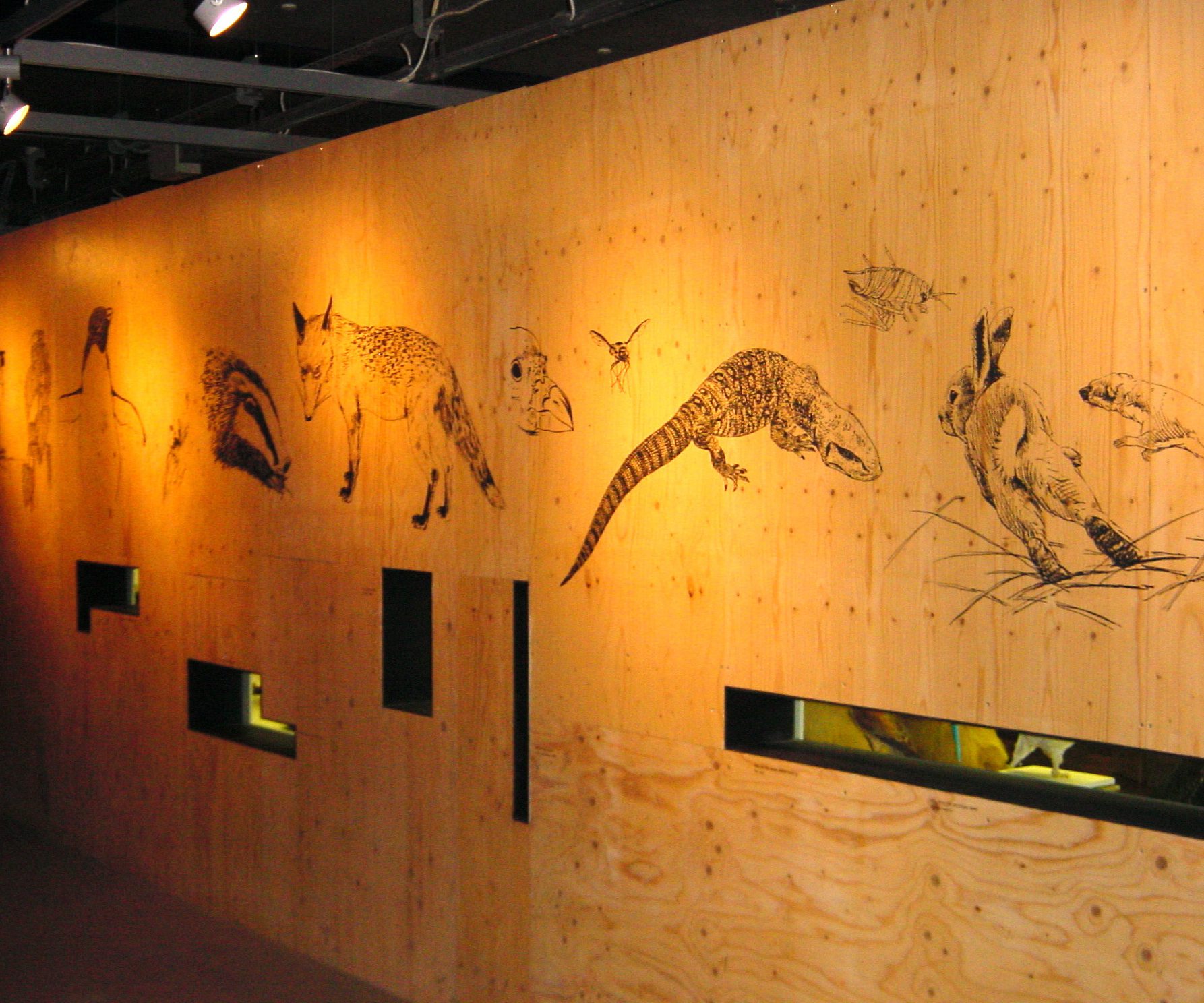 Debra Maple Wildlife Gallery At Thinktank, Birmingham | Debra Maplesden